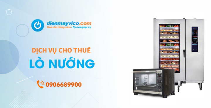 Mvina-279-cho-thue-lo-nuong-8