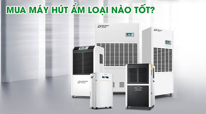 Mvina-494-hinh-dai-dien-6