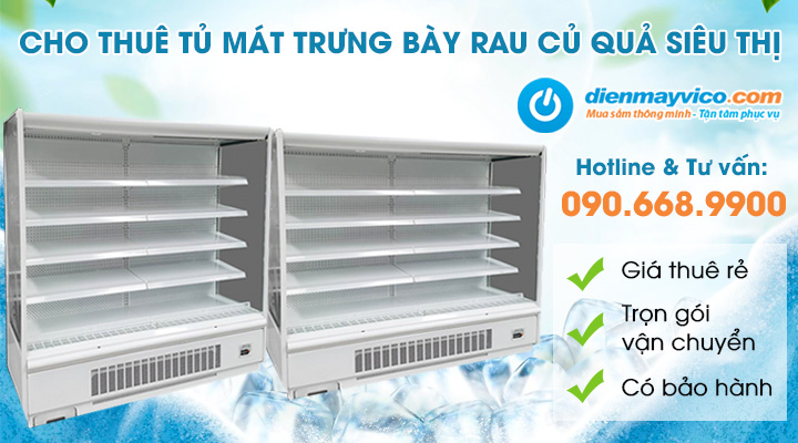 Cho Thuê Tủ Mát Trưng Bày Rau Củ Quả Siêu Thị Đa Dạng Kích Thước Giá Rẻ