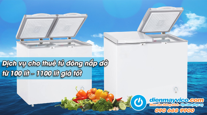 Dịch vụ cho thuê tủ đông nắp dở từ 100 lít – 1100 lít giá tốt