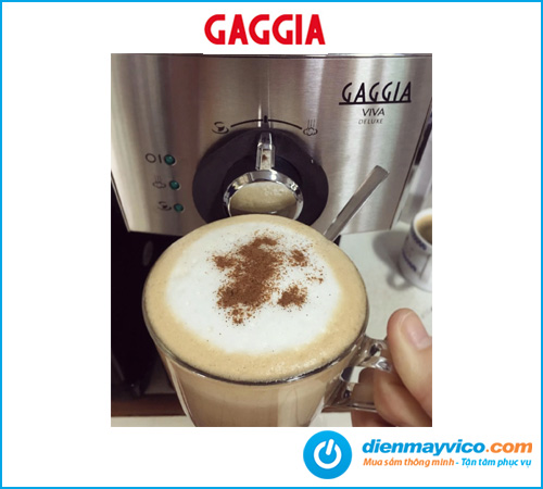 Hinh-dai-dien-may-pha-ca-phe-gaggia-viva-deluxe.jpg