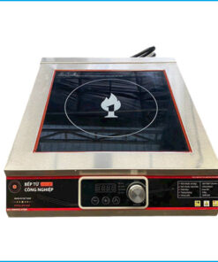 Mvina-thanh-ly-bep-tu-don-cong-nghiep-dung-dien-3500w.jpg