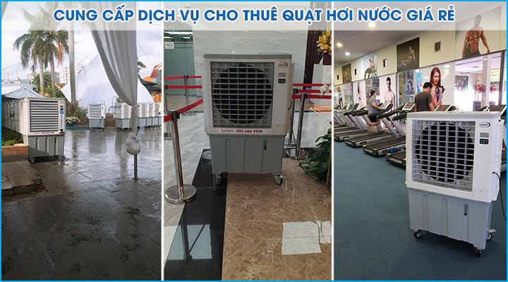 Cung cấp dịch vụ thuê quạt hơi nước với đa dạng hình thức thuê