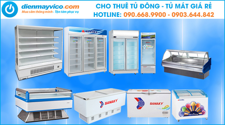 Cho thuê tủ đông, tủ mát đa dạng mẫu mã