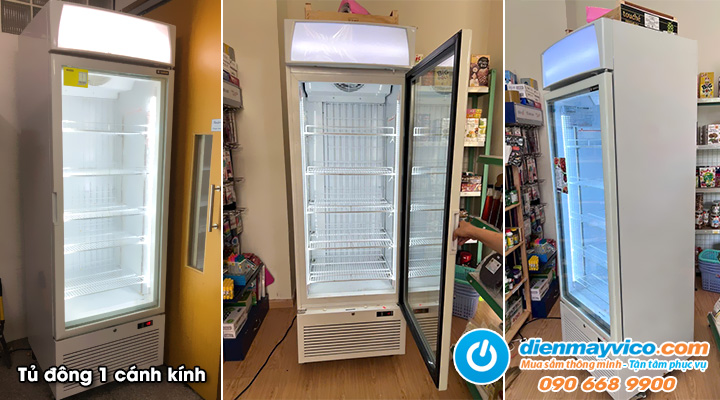 Dịch vụ cho thuê tủ đông đứng 1 cánh kính