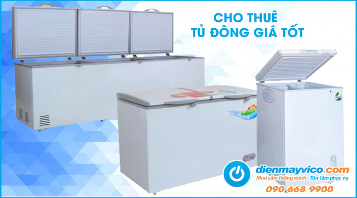 Cung cấp dịch vụ cho thuê tủ đông giá tốt