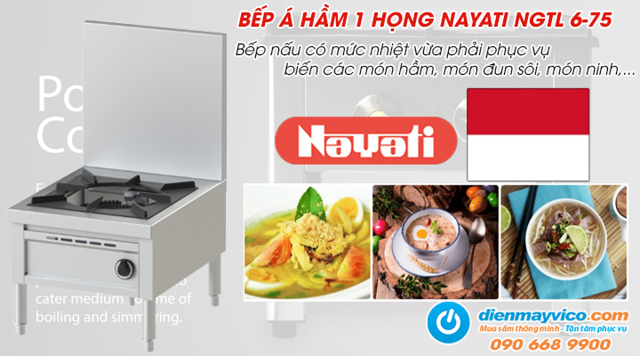 Mẫu bếp Á hầm 1 họng Nayati NGTL 6-75