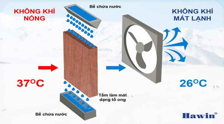 Mô tả Quạt Hawin HSN-80