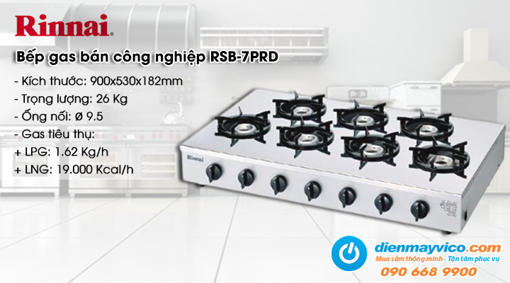 Bếp gas bán công nghiệp Rinnai RSB-7PRD