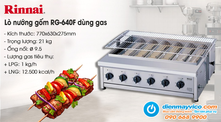 Lò nướng gốm Rinnai RG-640F dùng gas