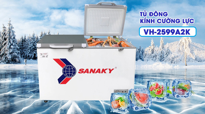 Tủ đông kính cường lực Sanaky VH-2599A2K 208 lít