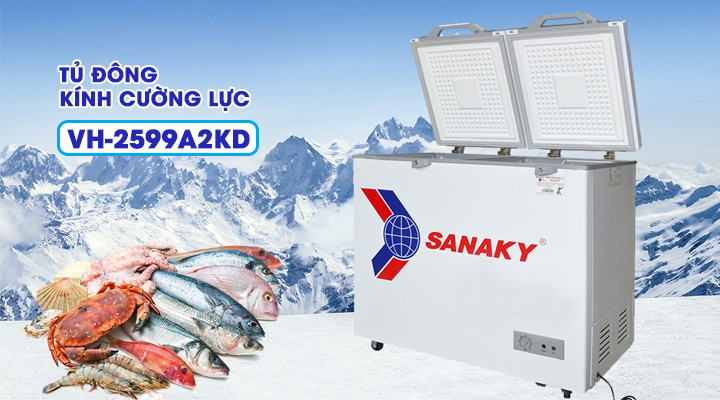 Tủ đông kính cường lực Sanaky VH-2599A2KD 208 lít