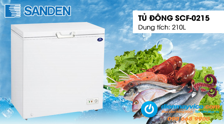 Tổng quan về Tủ đông Sanden Intercool SCF-0215