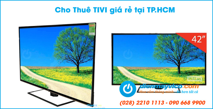 Cho thuê tivi